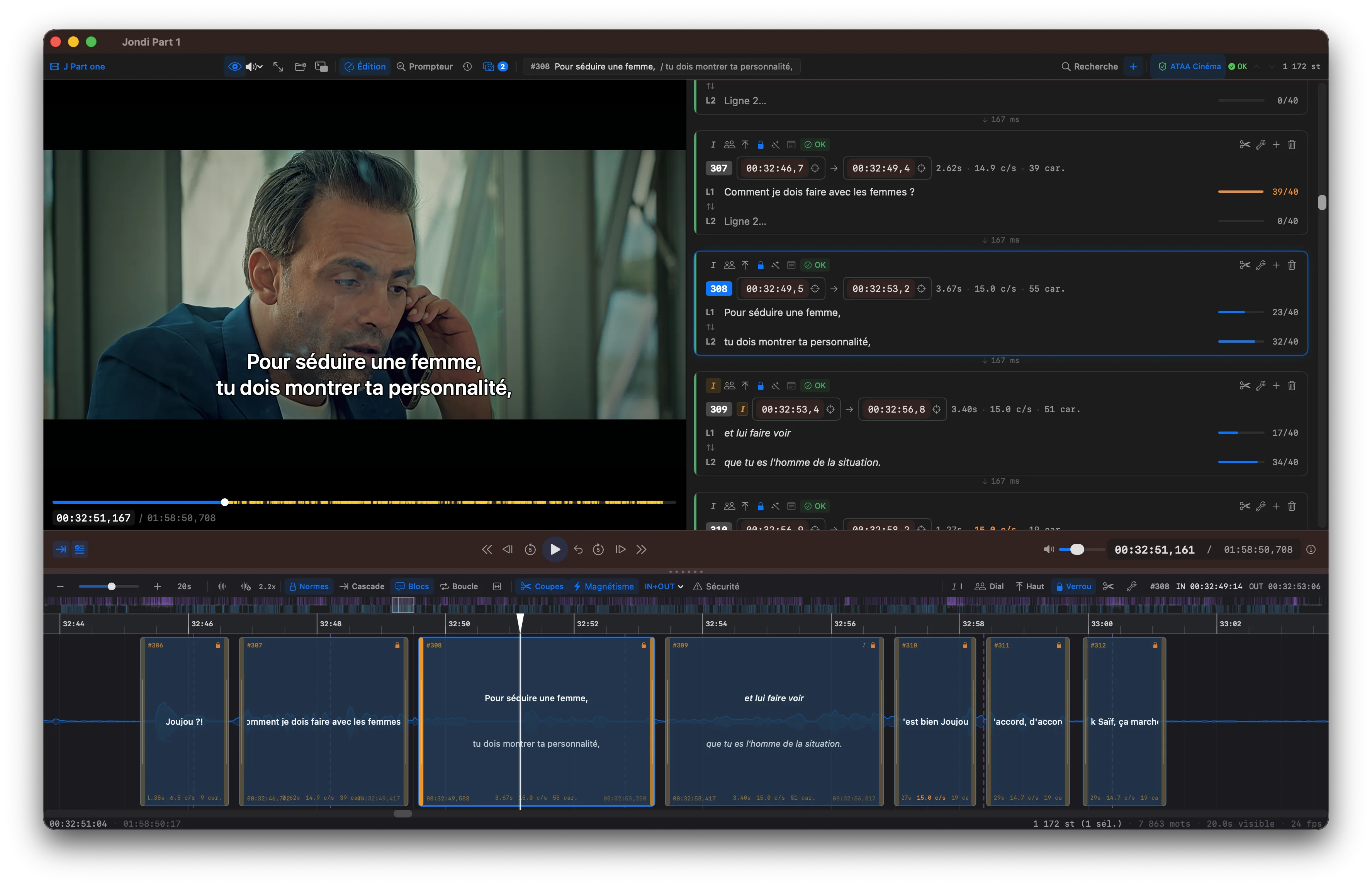 Scene Cut — Professional subtitle editor interface